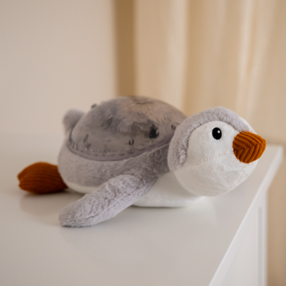 Cloud b -Tortue tranquille | Veilleuse Projecteur Apaisant Aqua